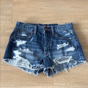 American Eagle Jeans Shorts Distressed Womens Denim